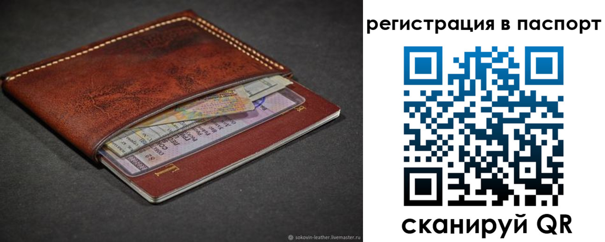 прописка иностранных граждан в Алексеевке